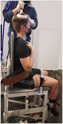 Test–retest reliability of cortico-spinal measurements in the rectus femoris at different contraction levels